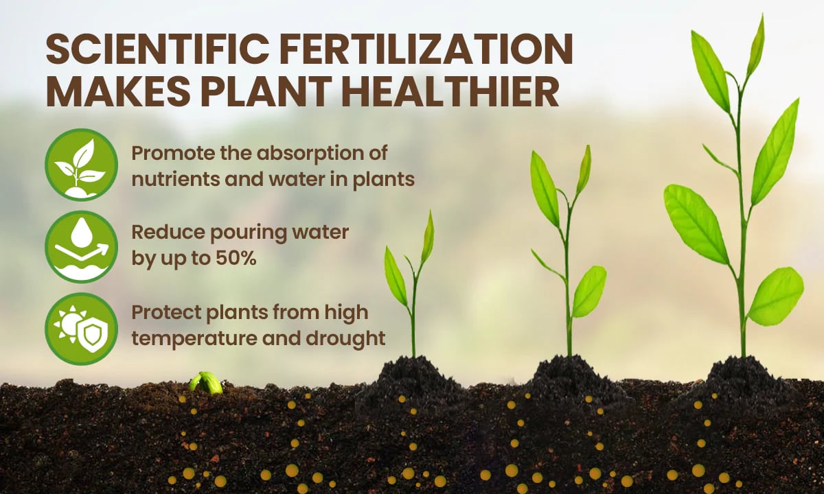 Soil Activator 100 gm Pack of 1